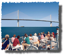 please do not feed the sky rats.