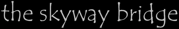  skywaybridge.com 